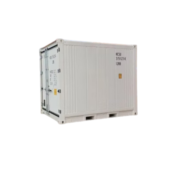 Container frigorifero usato da 10 piedi bianco