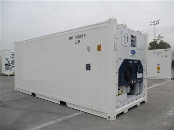 NUOVO CONTENITORE MARITTIMO REFRIGERATO DA 20 PIEDI